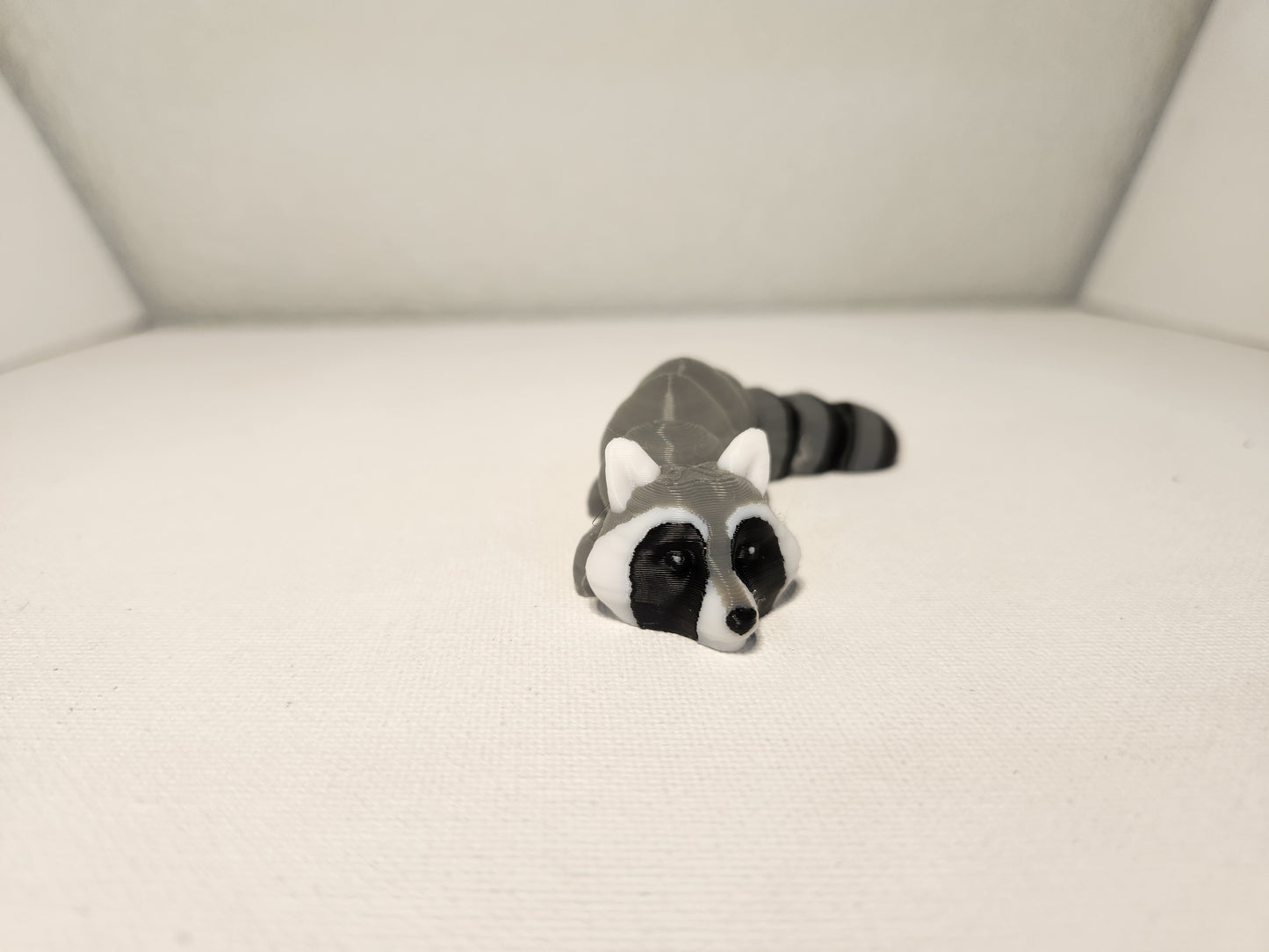 Raccoon