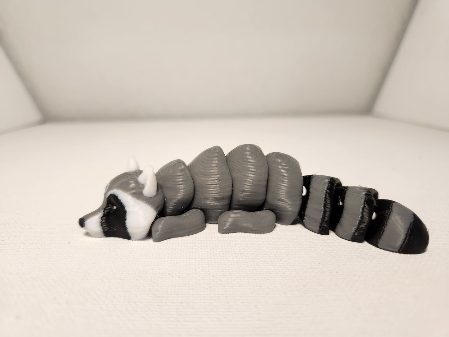 Raccoon