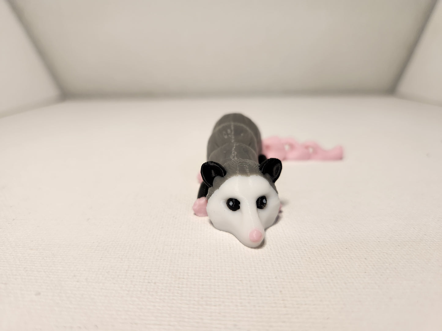 Opossum