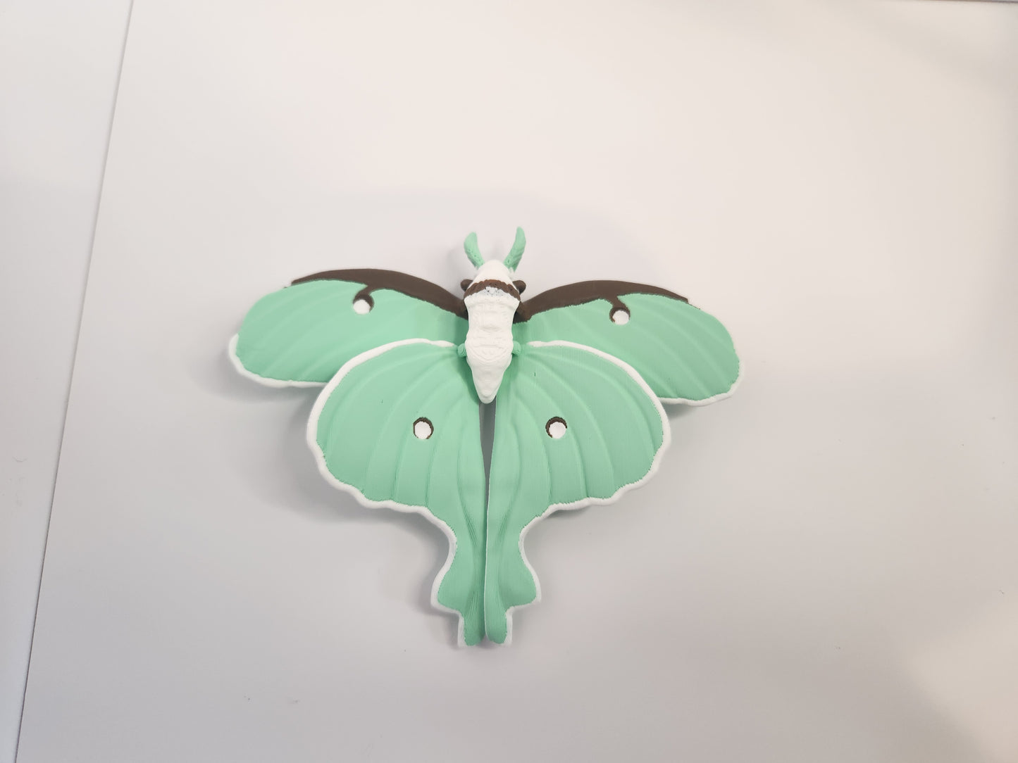 Flexi Luna Moth